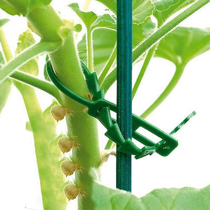 50/100pcs%20Reusable%20Plastic%20Plant%20Support%20Clips%20clamps%20Plants%20Hanging%20Vine%20Garden%0D%0A%20ZHANGBEI%20-%20Image%204