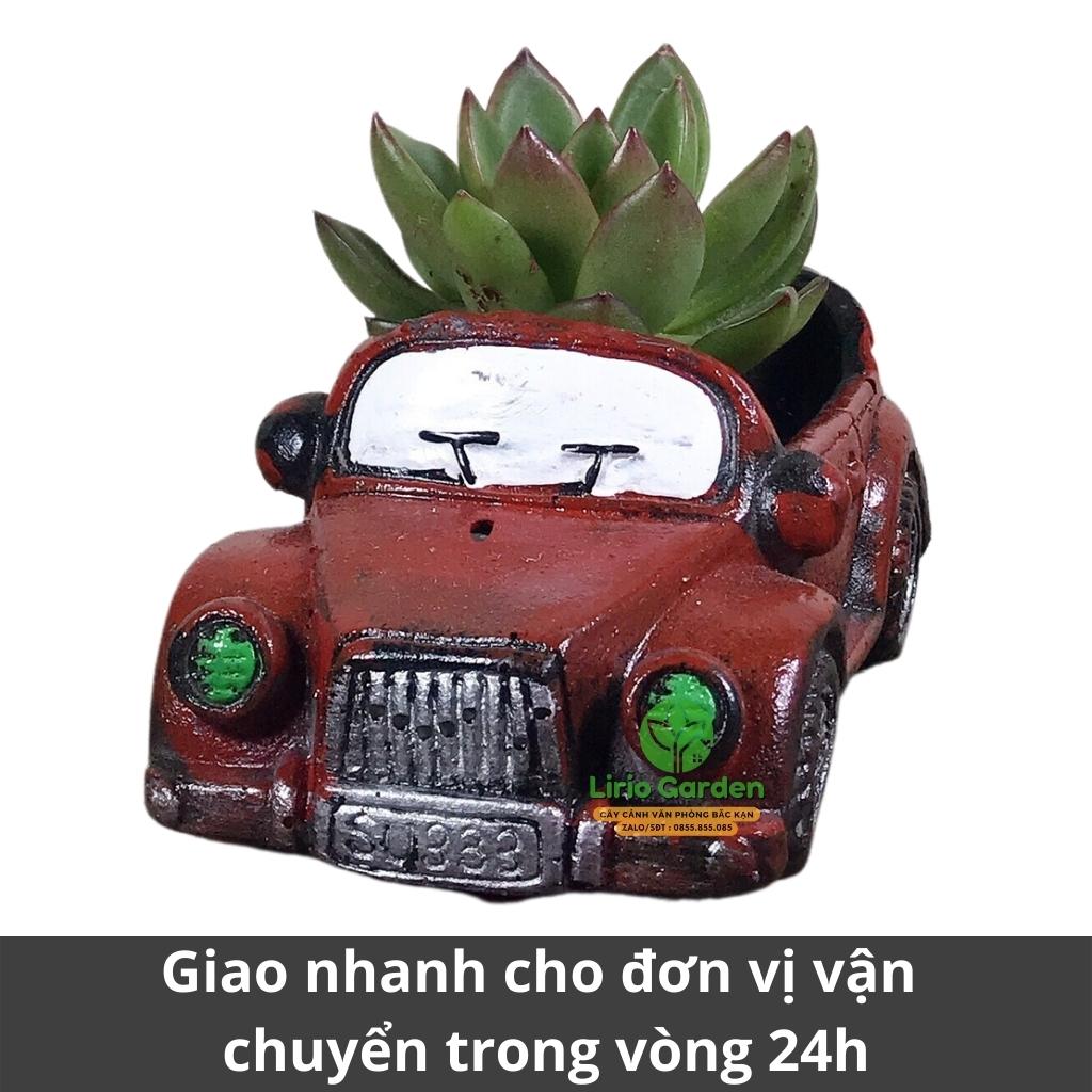 chậu trồng cây hình ô tô con [ tặng kèm đất trồng cây ]