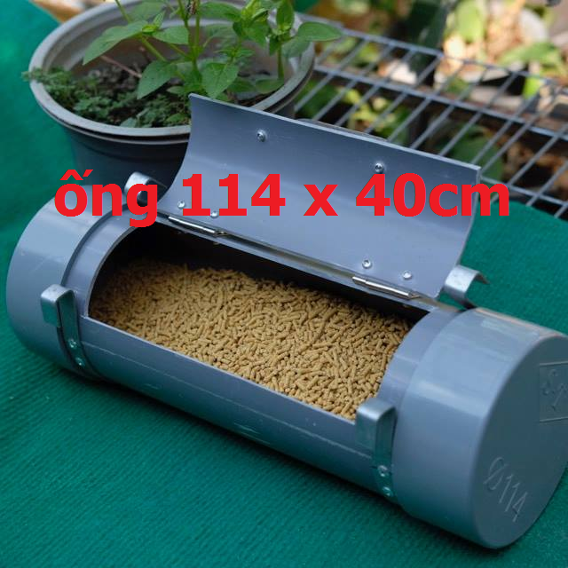 Máng đựng thức ăn thông minh cho gà
