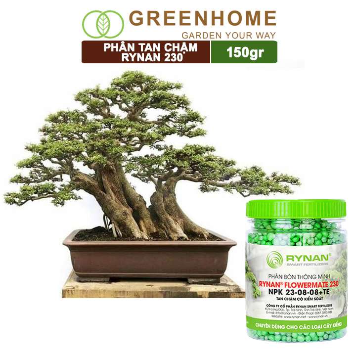 Phân tan chậm Rynan 230, chai 150gr, dưỡng lá xanh, bổ sung dinh dưỡng cho cây kiểng lá |Greenhome