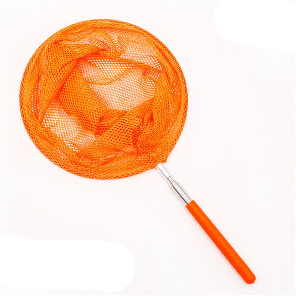 Colorful Dragonfly Lightweight Extendable Insect Catch Mesh Telescopic ...