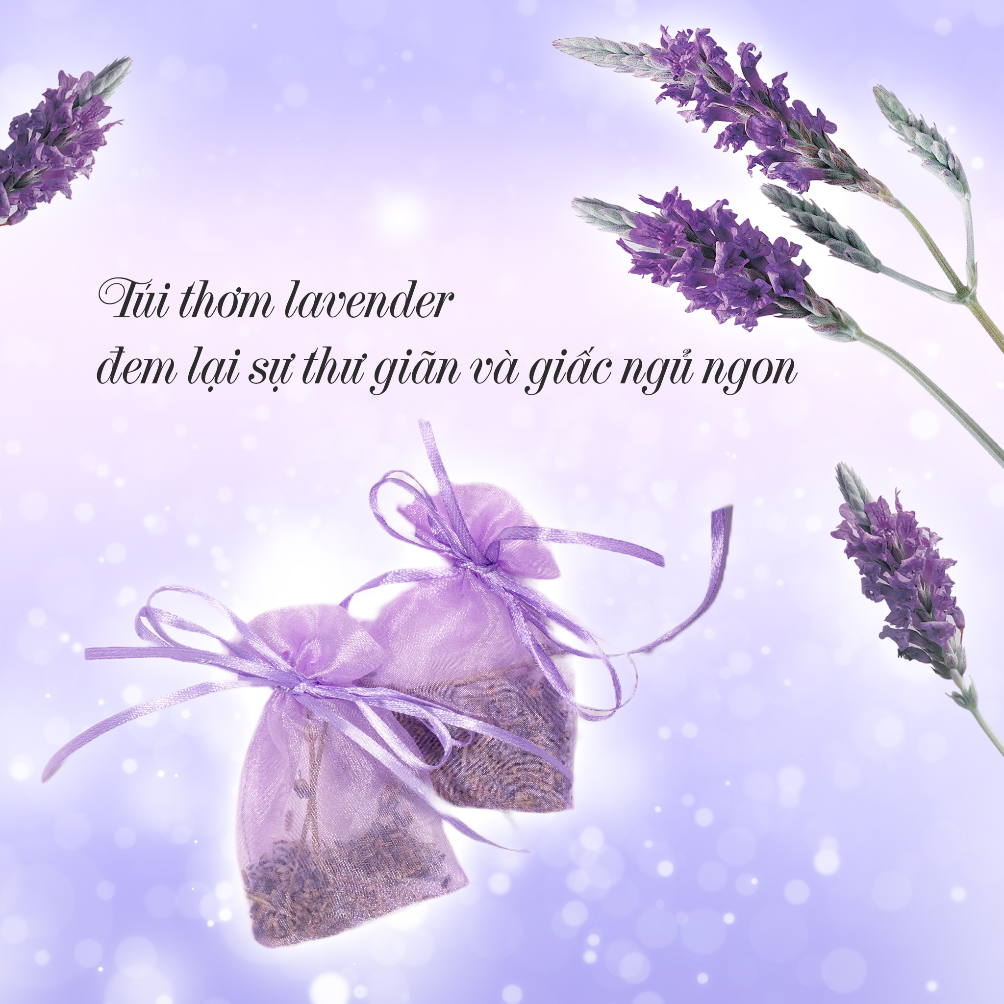 [EVERON Chính Hãng] Ruột gối Cao Cấp hương Lavender (Gối êm + có tem điện tử chính hãng)