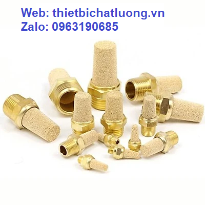 Giảm thanh đồng BSL-02