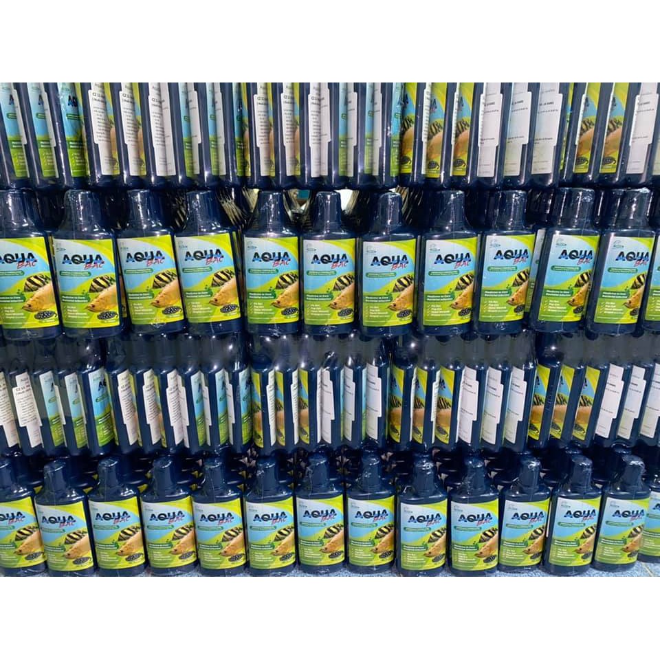 AQUA BAC chuyên dùng cho cá Rồng, cá Hổ, Sam...