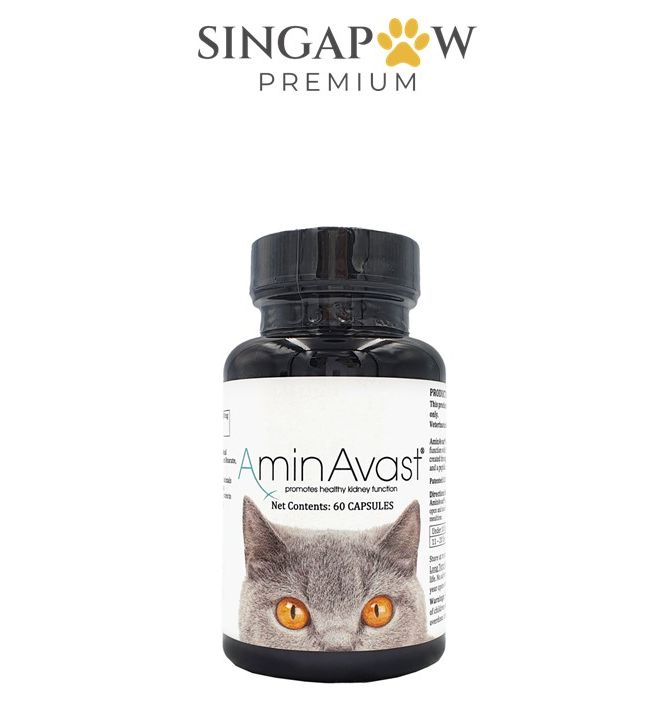 AminAvast Cat Natural Kidney Support 60 Capsules , Cat Supplement , Pet