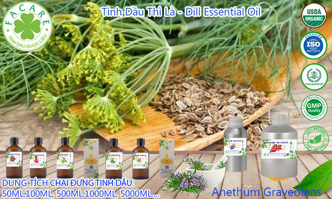 Tinh dầu Thì Là Dill essential oil - 10ml