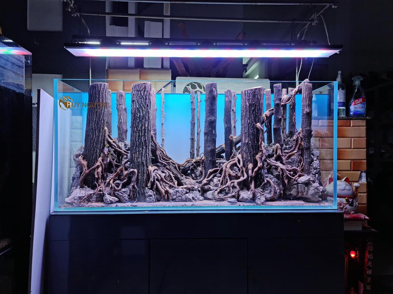 LŨA THẠCH SÙNG CÓ VÕ - CHUYÊN SET UP LAYOUT RỪNG BỂ THỦY SINH 1KG - LŨA THẴNG ĐẸP