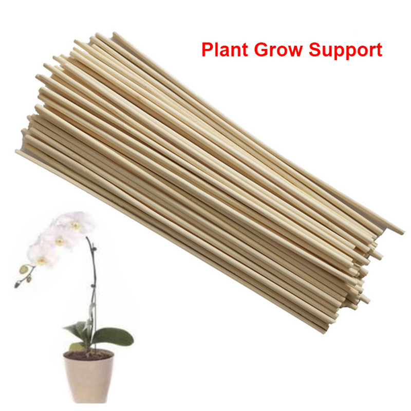 50pcs%20Wooden%20Plant%20Grow%20Support%20Bamboo%20Plant%20Sticks%20for%20Flower%20Stick%20Cane%20Stand%20-%20Image%205