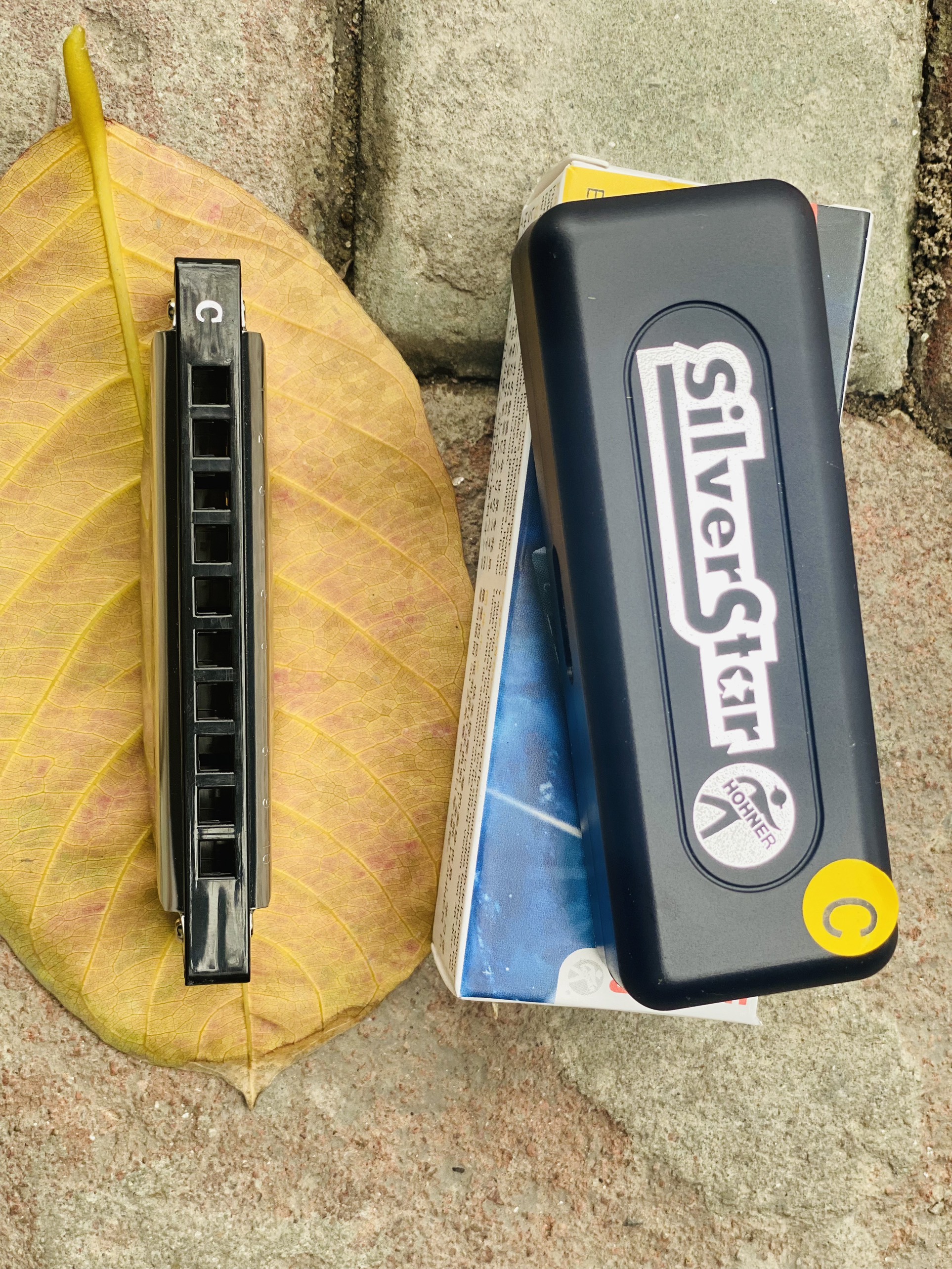 Harmonica Diatonic HOHNER Silver Star M5040167 ( Tone C )