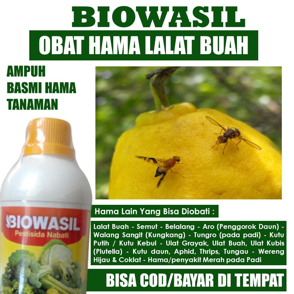 Terlaris Obat Semprot Lalat Buah Biowasil Ml Pestisida Cair