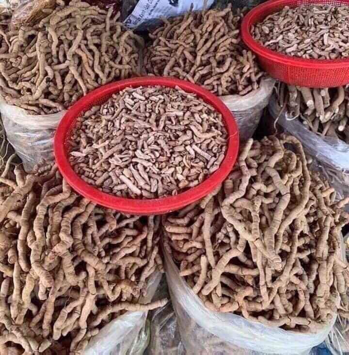 CỦ BA KÍCH RỪNG (TÍM) TƯƠI (HÚT CHÂN KHÔNG)