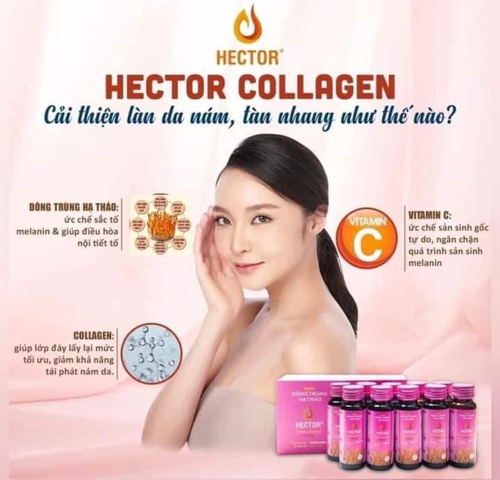 NƯỚC ĐÔNG TRÙNG HẠ THẢO HECTOR COLLAGEN