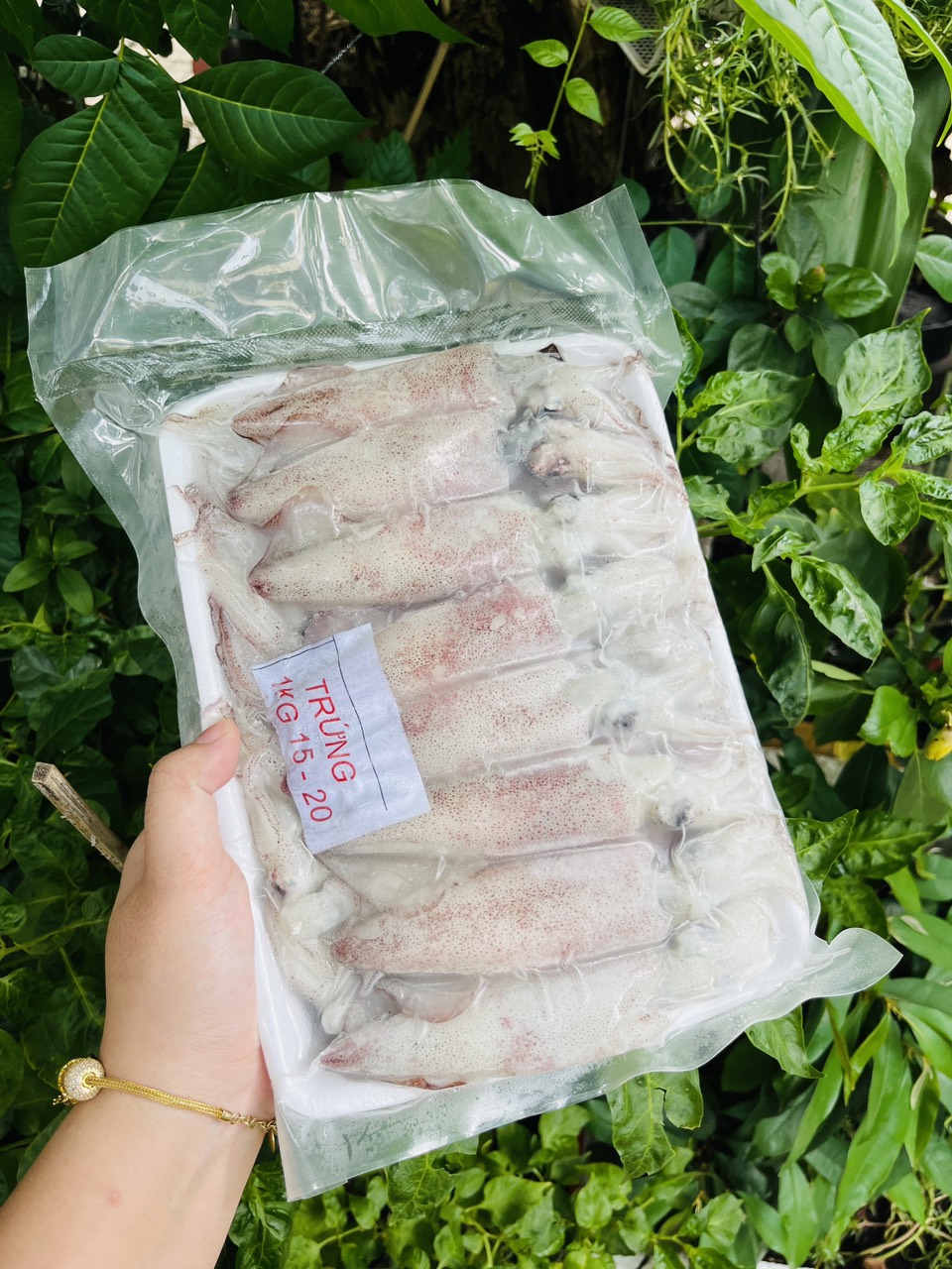 [GIAO NHANH 2H HCM] Giá sỉ 1kg Mực trứng cà mau
