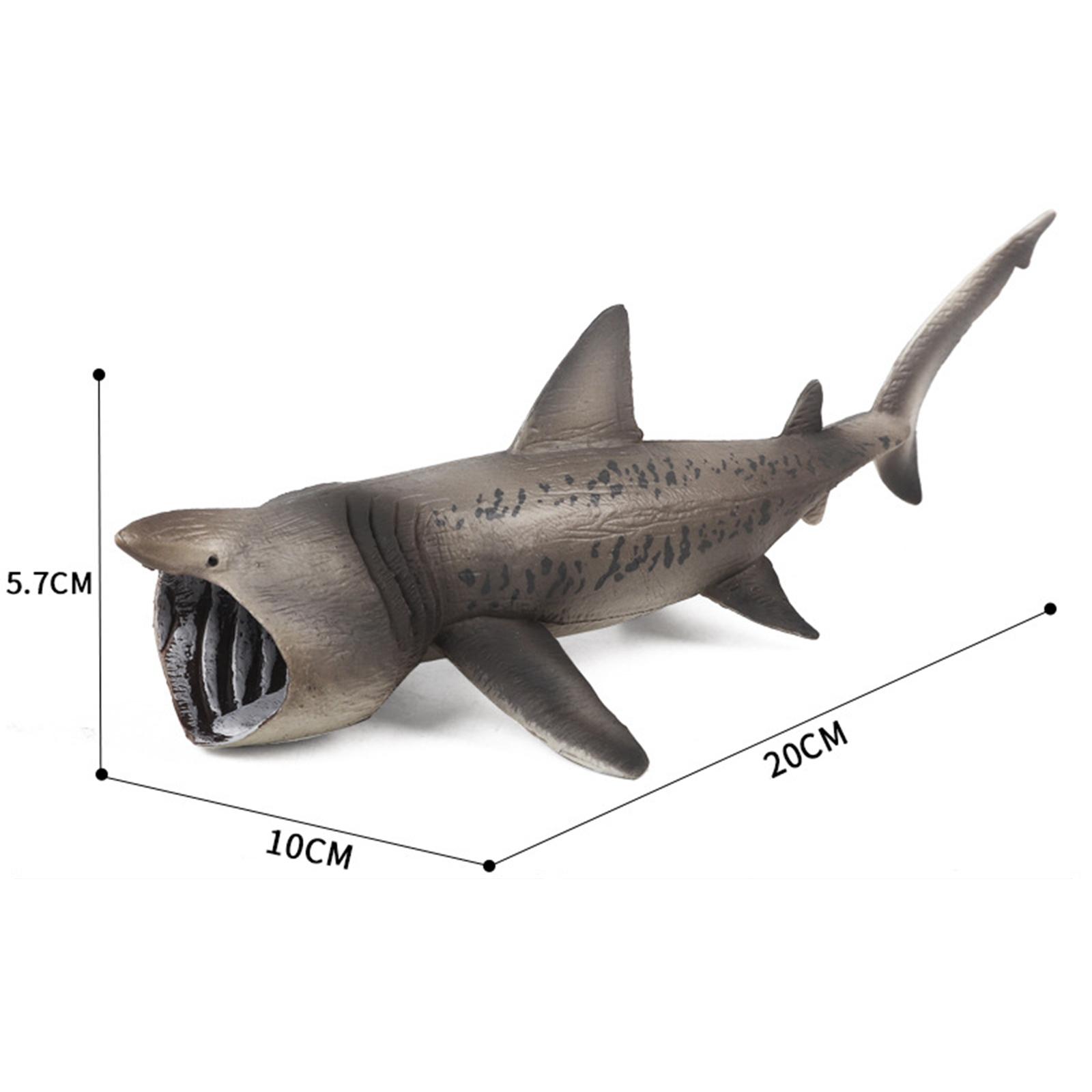 Gispark Realistic Basking Sharks Model Cognitive Early Learning Marine Creatures Figures Collection for Decorations Home Learning Party
