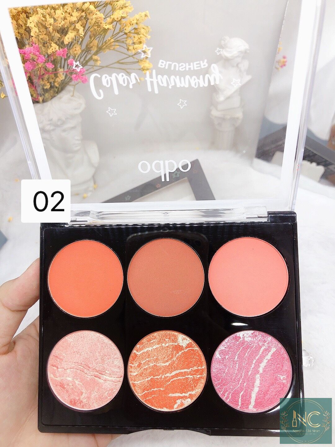 PHẤN MÁ HỒNG 6 Ô ODBO COLOR HARMONY BLUSHER