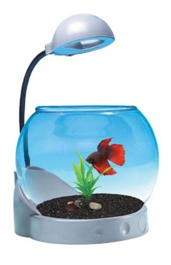 [Freeship+HCM+Luckyfish94] BỂ CÁ MINI DẠNG TRÒN SIÊU DỄ THƯƠNG JENECA TG-01 A390