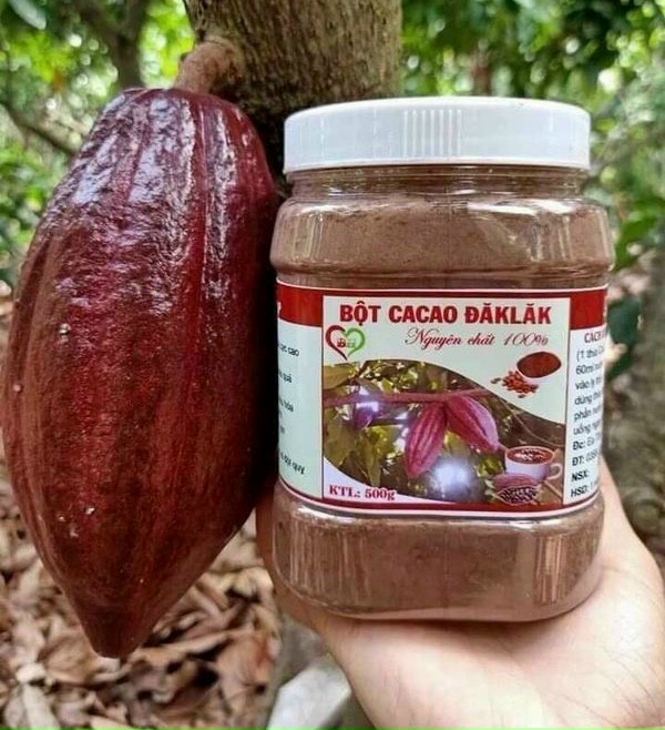 [NGUYÊN CHẤT] Bột ca cao nguyên chất nhà làm Đaklak 500gr