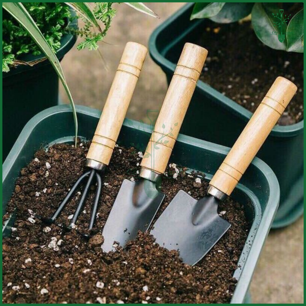 Dụng Cụ Làm Vườn 3 Món Cán Gỗ Mini Loại Nhỏ