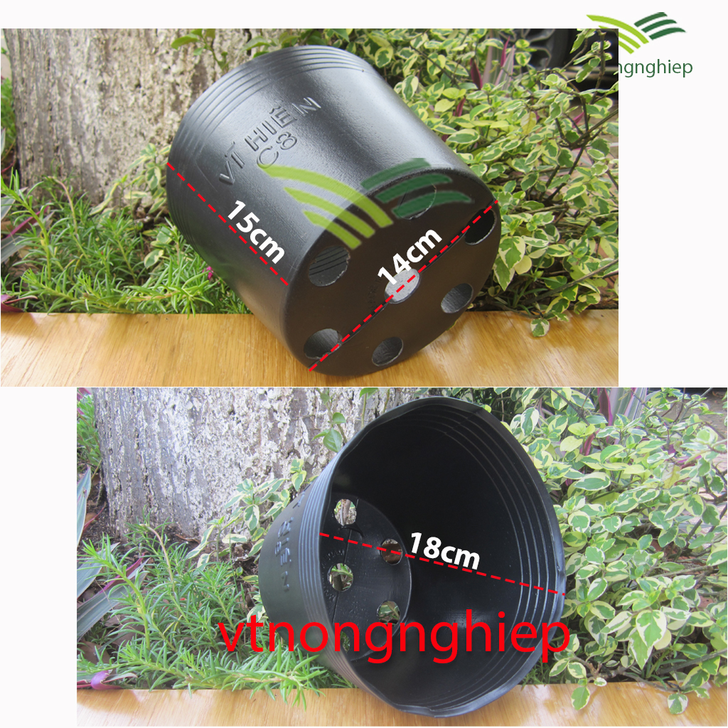 50 plastic basin C8 planting, CÂY18x14x15
