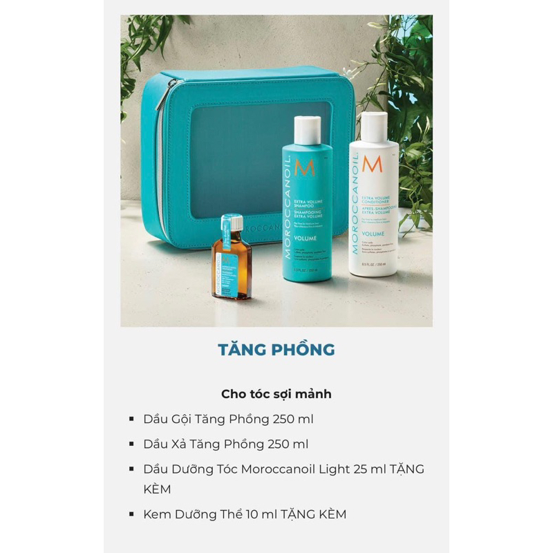 [Hàng công ty nhập khẩu chính hãng] Dầu gội xả Mo ro c canoil