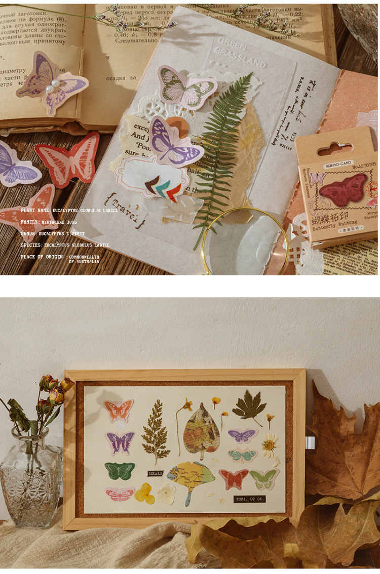 Hộp 46 stickers hình bươm bướm