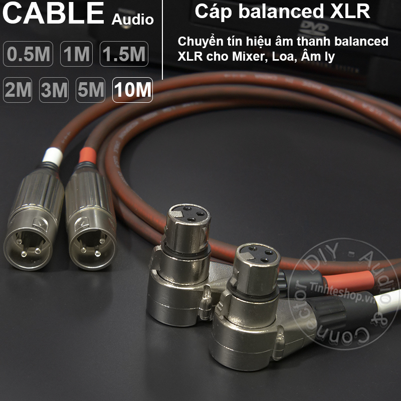 1 pair of female XLR to RCA audio cables converts audio to the Speaker Amplifier Mixing Console