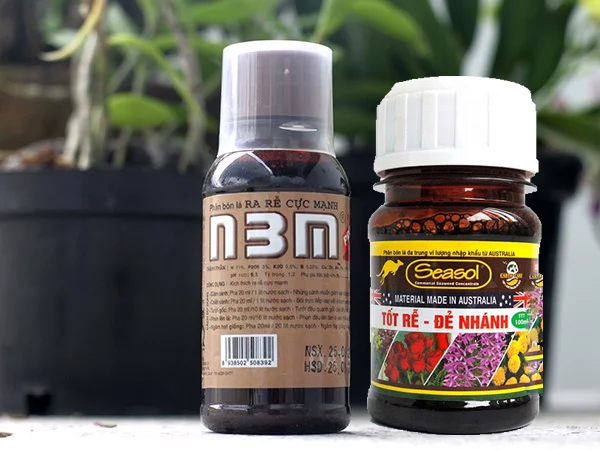 Combo n3m 100ml & seasol 100ml phân bón kích rễ cực mạnh