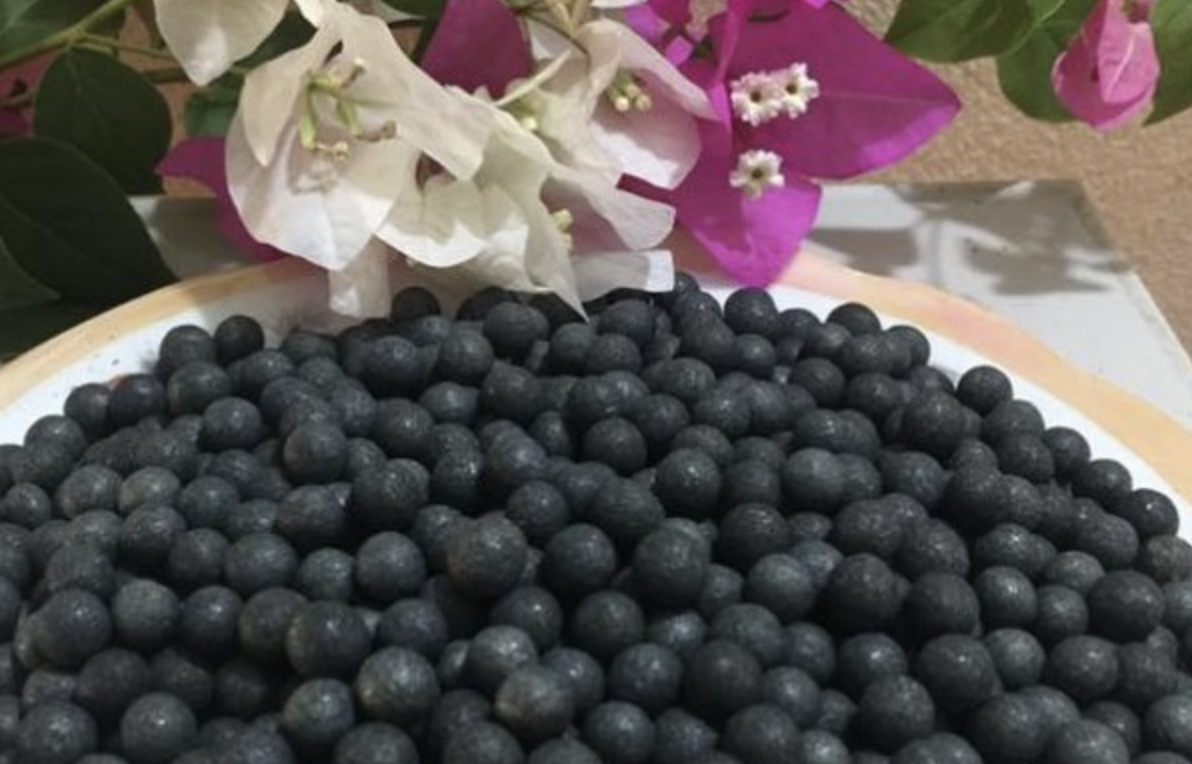 Trinh nữ hoàng cung, cao xạ đen 500gr