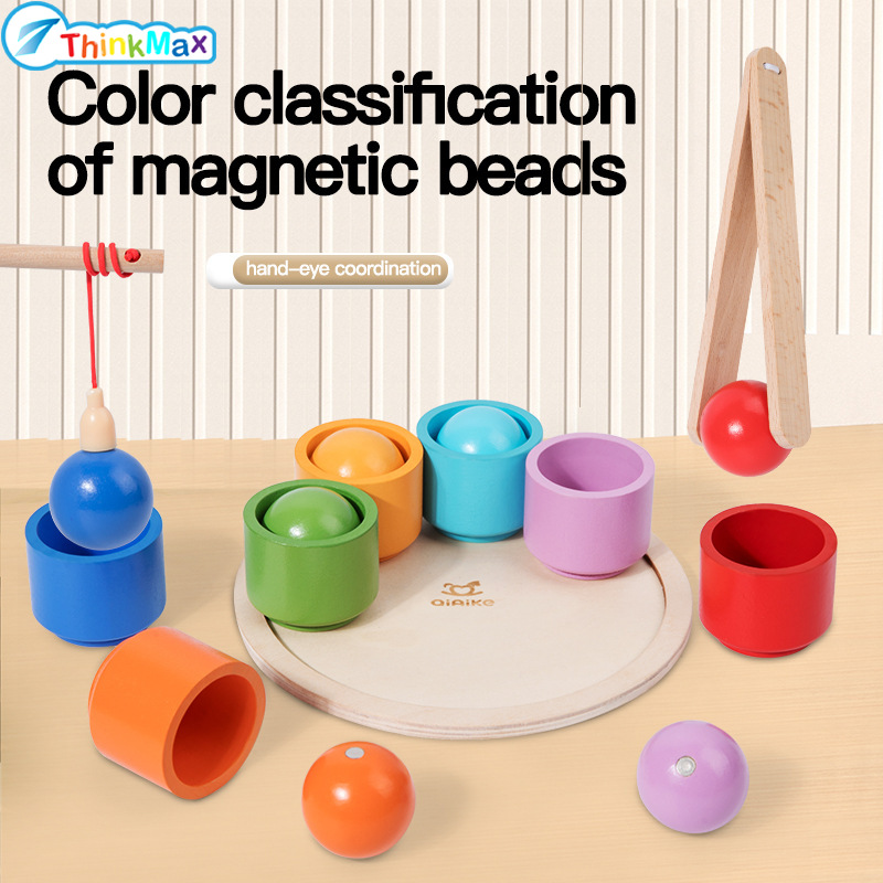 Wooden Magnetic Sorting Game 2-in