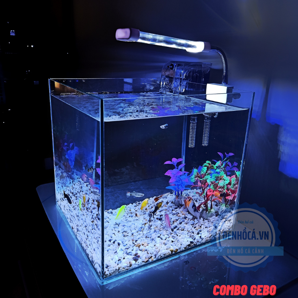 [Hoàn Tiền 10%] Hồ cá mini CUBIC 25cm để bàn