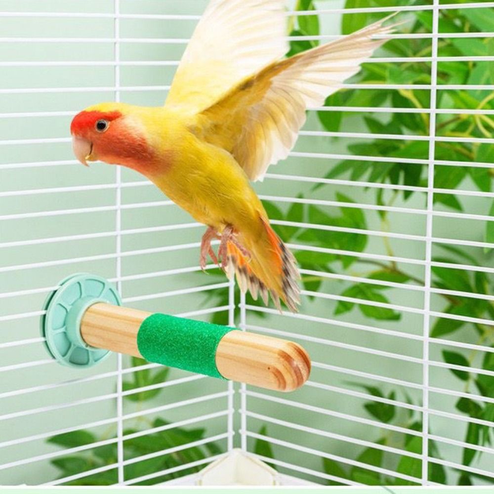 Practical Bite Resistant Parrot Climbing Stand Wear Resistant Non-slip ...