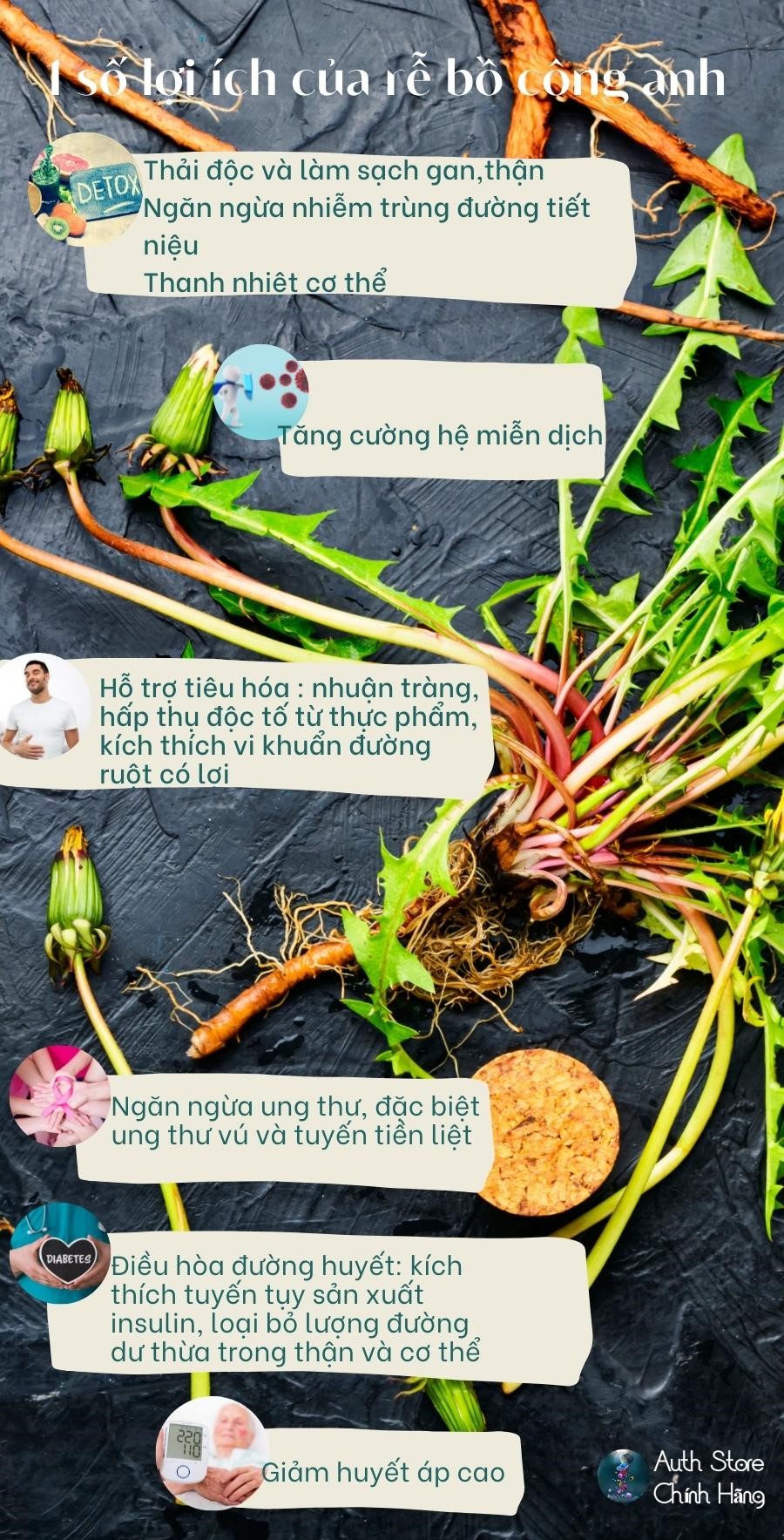 Rễ bồ công anh Dandelion Root Nature’s Way