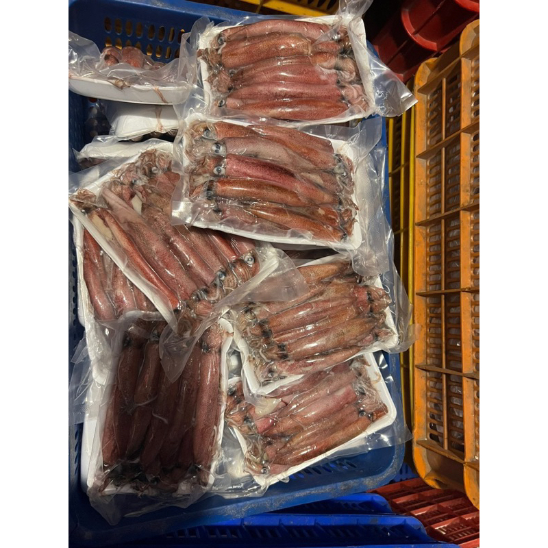 Mực GHIM Trứng 1kg size 9-15 con (giao tphcm)