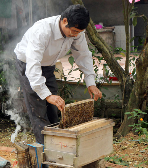 Mật ong hoa vải thiều nguyên chất