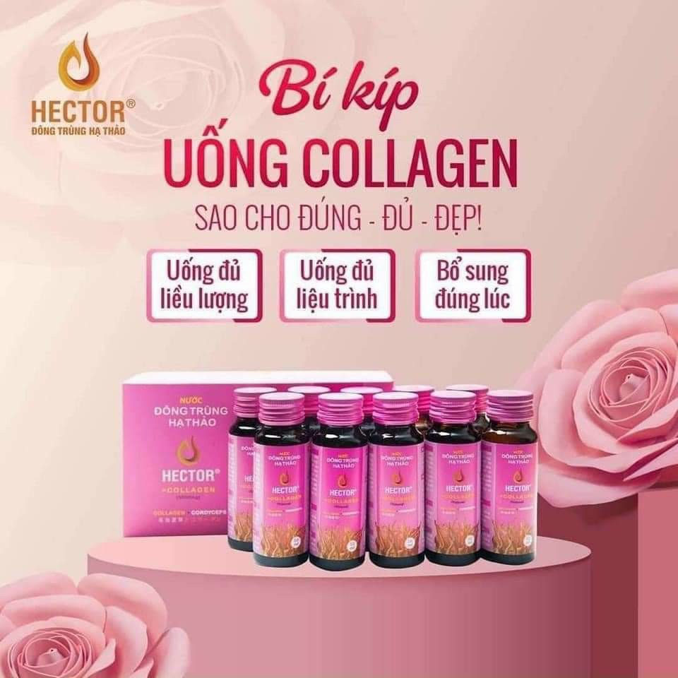 NƯỚC ĐÔNG TRÙNG HẠ THẢO HECTOR COLLAGEN