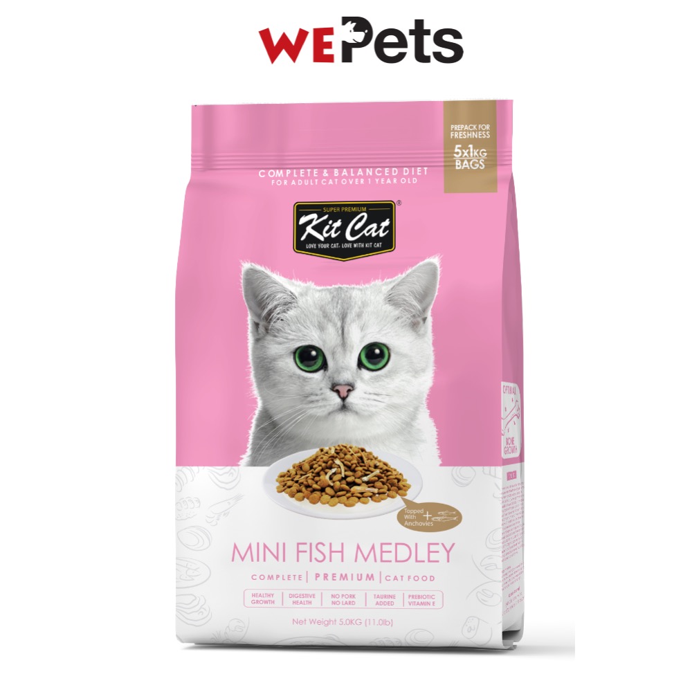 dry cat food without fish