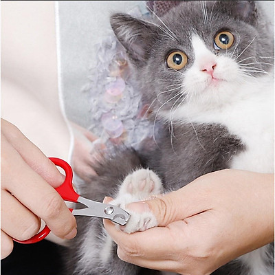 Kéo cắt móng cho chó mèo size nhỏ