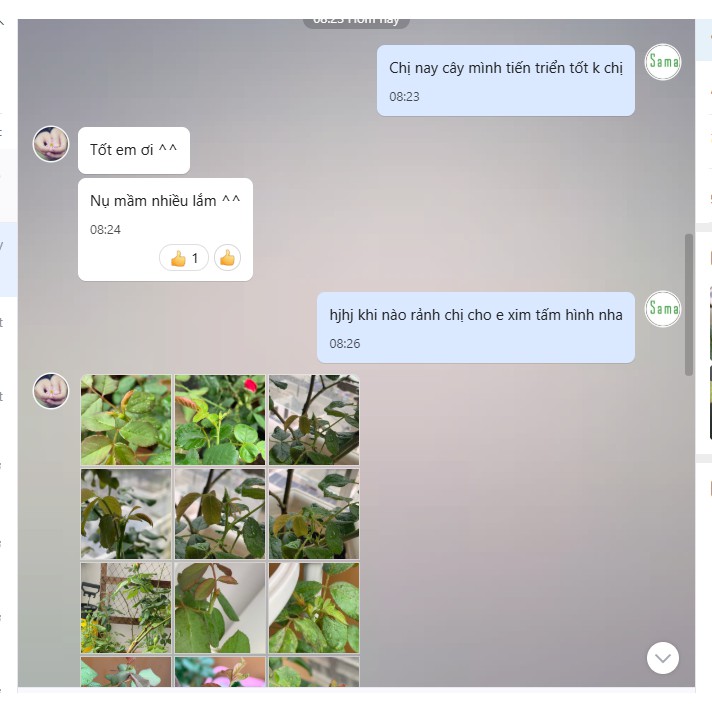 Đèn Cho Hoa Thế Hệ Mới 20W - Zako