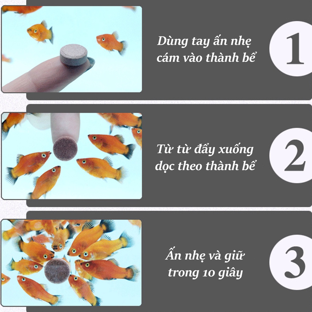 Thức ăn cám dán kính bể cho cá cảnh thuỷ sinh, 7 màu