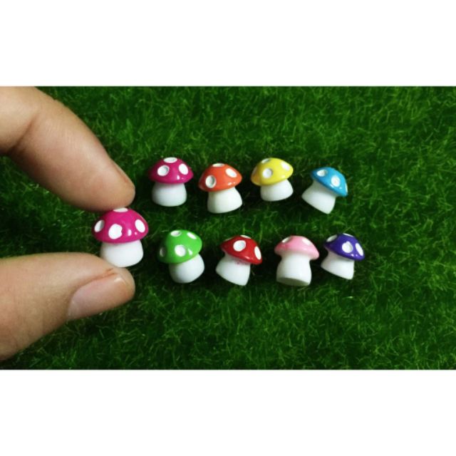 Nấm mini Tiểu cảnh sen đá sân vườn bể cá