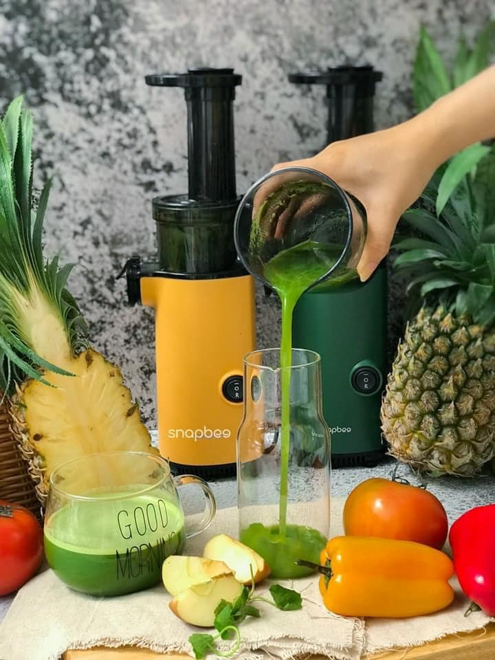 Máy ép chậm hoa quả Snapbee mini (sỉ ib)