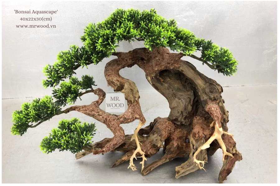Lũa Bonsai mini cho hồ thủy sinh - Xưởng Lũa Mr Wood