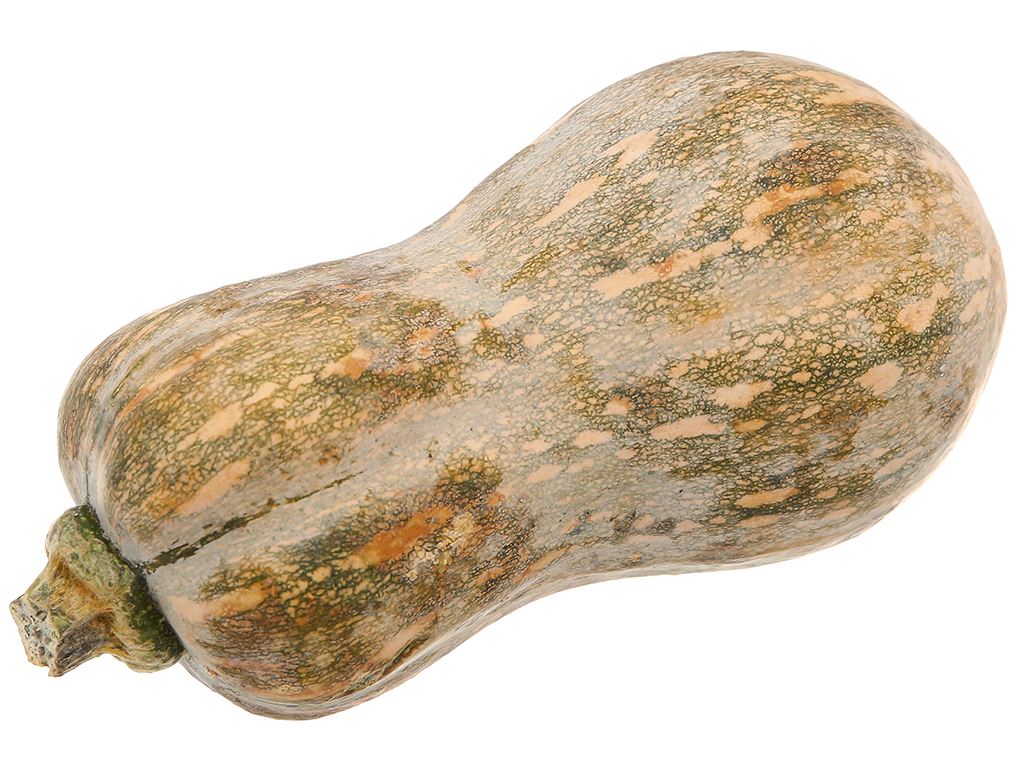 Bí Đỏ Hồ Lô 400-600G Kamereo