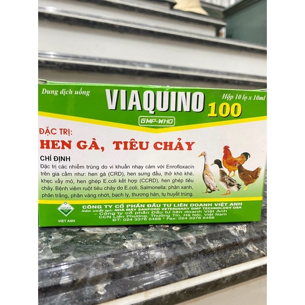 Gà Hen, tiêu chảy Viaquino 100