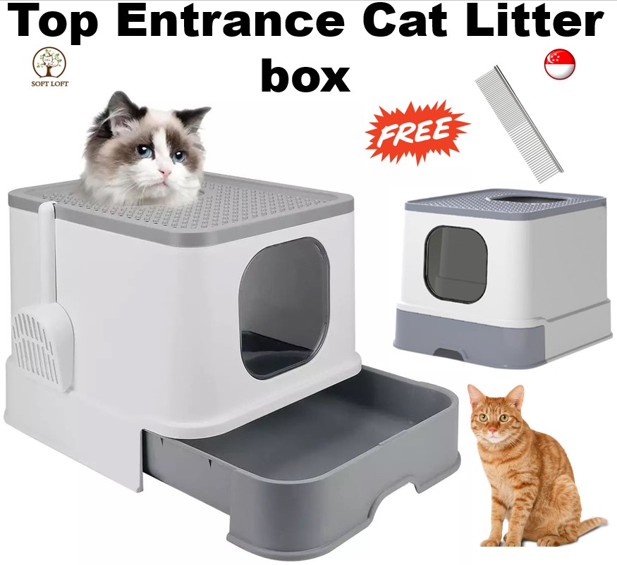 travel carrier for cat with litter box