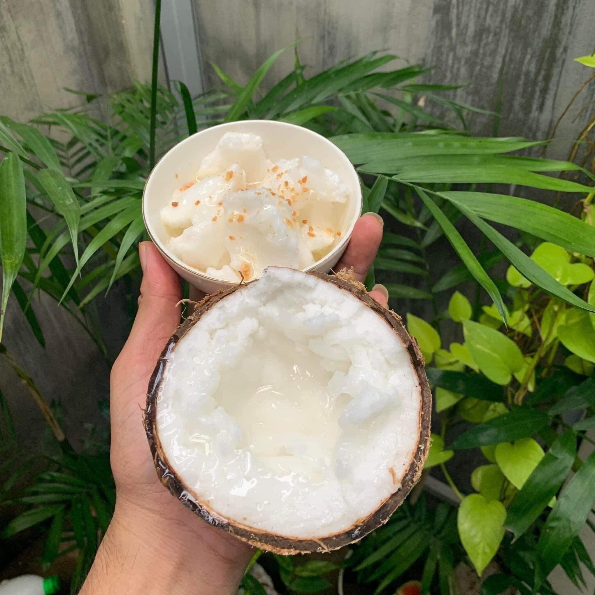 DỪA SÁP LOẠI 1 CẦU KÈ TRÀ VINH
