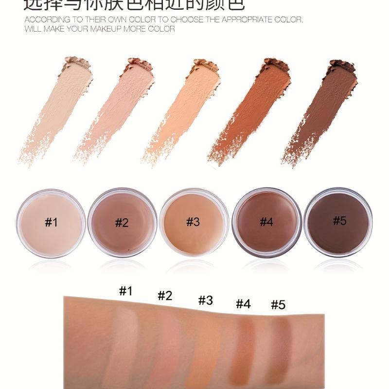 totoro  New style  Brighten Skin Tone 5 Colors Mini Concealer Covering Facial Acne Marks Freckle Dark Circles Around The Eyes Long Lasting Makeup. 