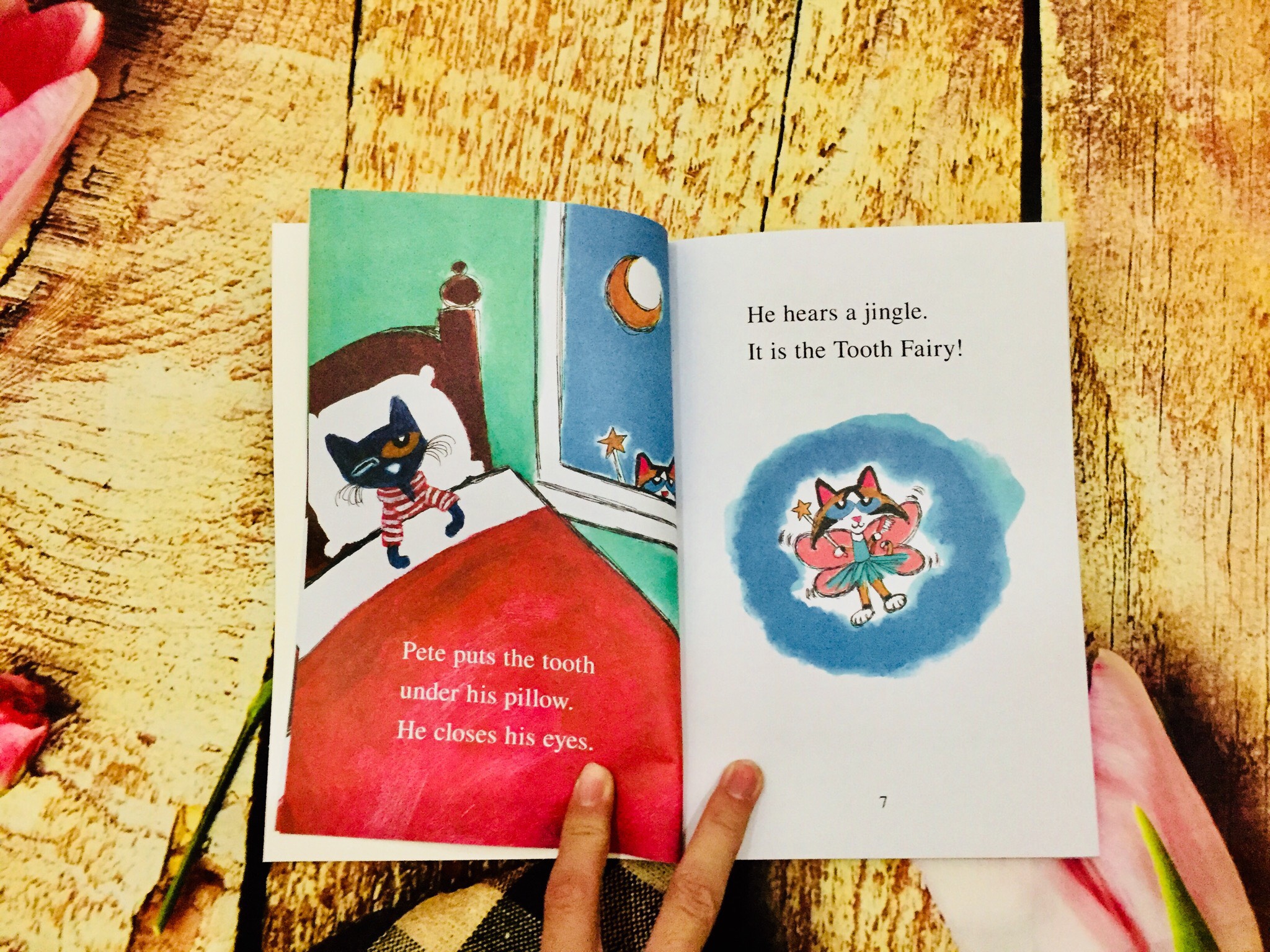 I Can Read Pete The Cat 28q