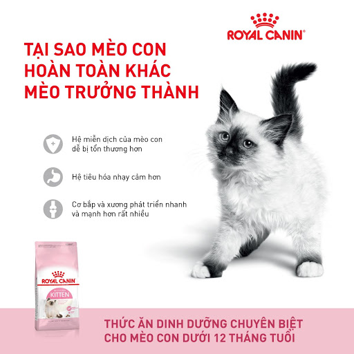 [LẺ 1KG Zip] Thức ăn hạt cho mèo Royal Canin Kitten