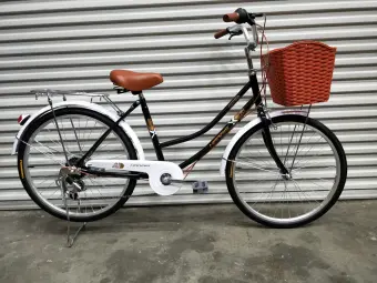 lady city bike